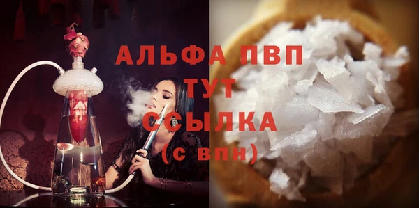 spice Богородск