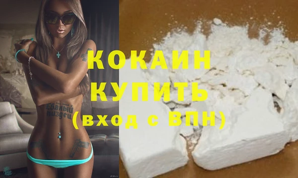 дживик Каменка