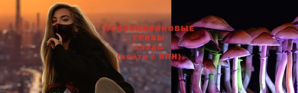 spice Белоозёрский