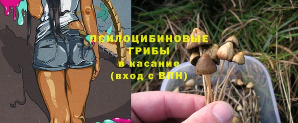 spice Белоозёрский