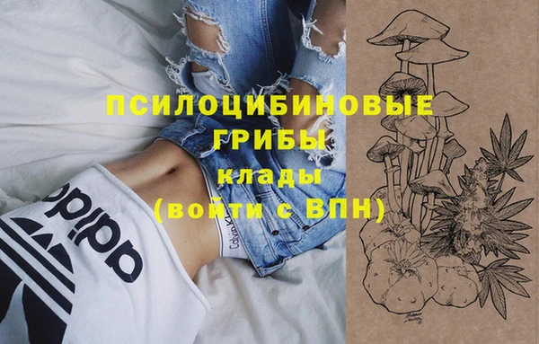 спайс Богданович
