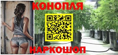 стафф Балаково