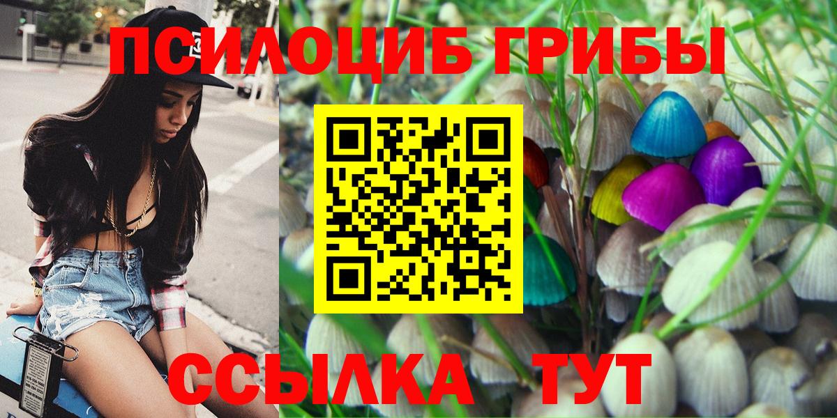 Псилоцибиновые грибы Psilocybe Дальнегорск