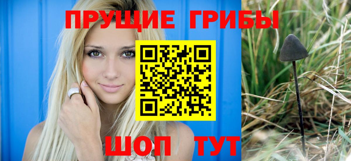 Галлюциногенные грибы MAGIC MUSHROOMS  Псилоцибиновые грибы мухоморы  Дальнегорск 